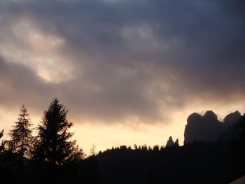 Silhouette of trees at sunset