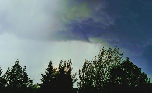 Low angle view of silhouette trees against sky