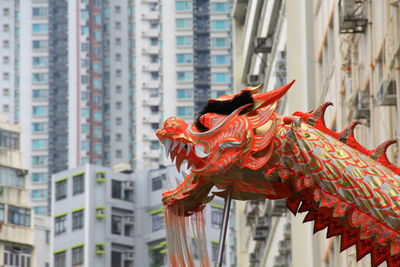 Low angle view of horse in city