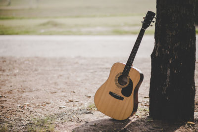 Close-up of guitar on tree trunk