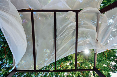 Close-up of plants against glass