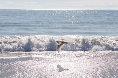 Low section of man on beach against sky