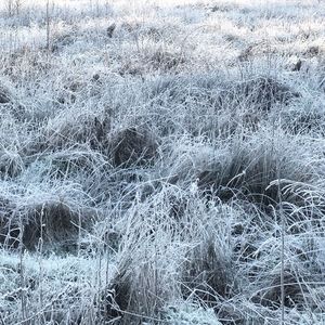 Full frame shot of frozen grass on field