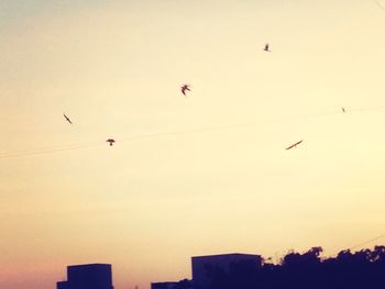 Low angle view of birds flying in sky