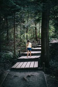 Woman standing by tree in forest