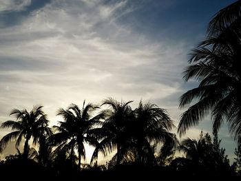 Silhouette of palm trees against cloudy sky