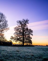 Scenic view of landscape against sky during sunset