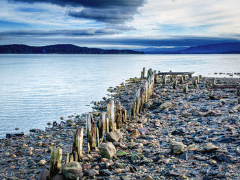 Wooden posts on beach against sky