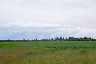 Scenic view of field against sky