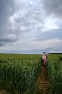 Rear view of woman carrying umbrella while walking amidst plants on field