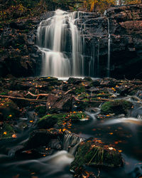 Scenic view of waterfall in forest