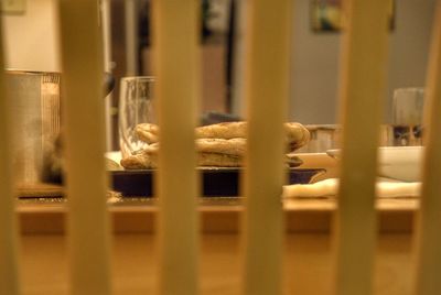 Close-up of bird in cage