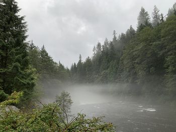 Scenic view of waterfall in forest against sky