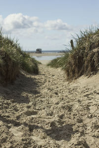 Scenic view of beach