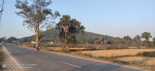 Road by trees against sky