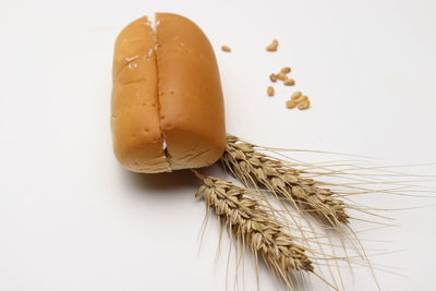 High angle view of wheat on table against white background