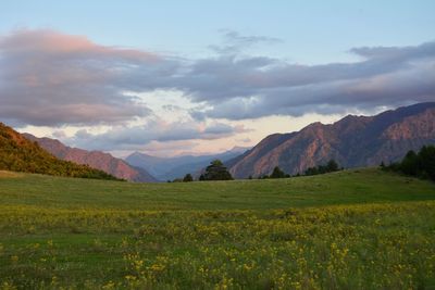 Scenic view of field and mountains against sky