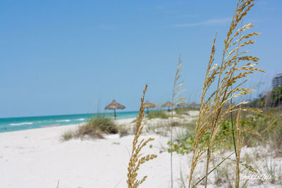 Scenic view of sea against clear sky