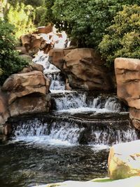 Stream flowing amidst trees