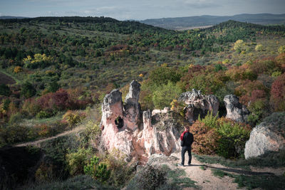 Rear view of person standing on rock