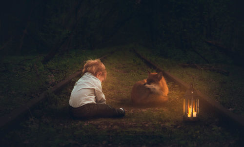 Rear view of dog sitting on grass at night