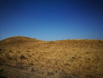 Scenic view of field against clear blue sky