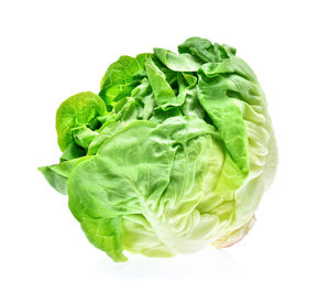 Close-up of vegetable over white background