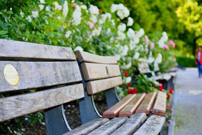 Close-up of wooden bench in park