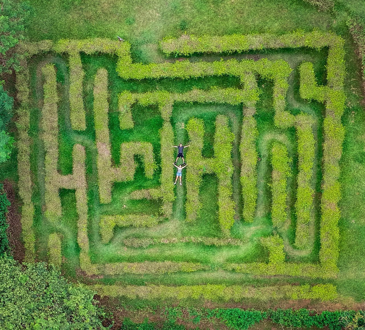 MAN ON FIELD