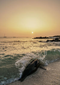 Scenic view of sea against sky during sunset