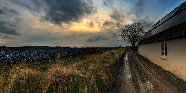 Road amidst buildings against sky during sunset