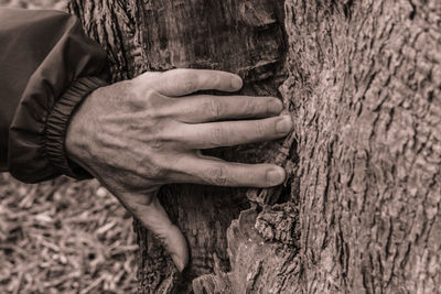 Close-up of woman hand by tree trunk