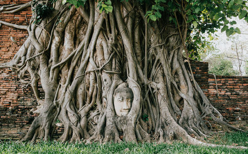 Ayutthaya view of buddha statue in park