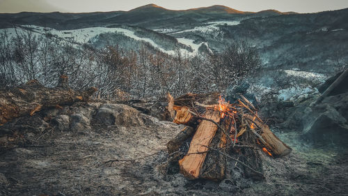 High angle view of fire on log in winter