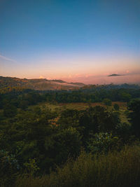 Scenic view of field against clear sky during sunset