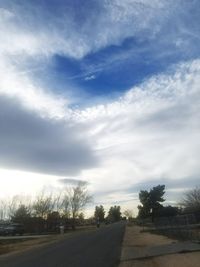 Trees against sky