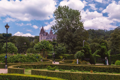 Trees and plants in garden against sky