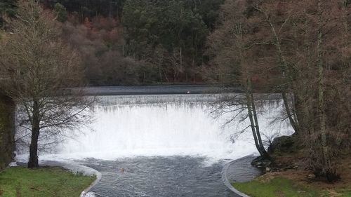 River amidst trees in forest against sky