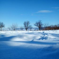 Scenic view of snow covered landscape