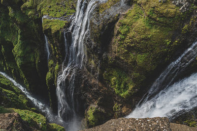 Scenic view of waterfall in forest