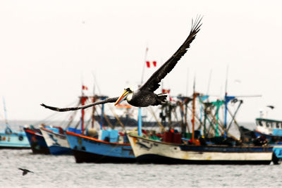 Fishing boats in sea against clear sky