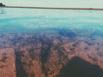 Reflection of trees in water