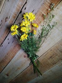 High angle view of yellow flowers on table