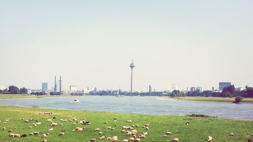 City skyline with waterfront