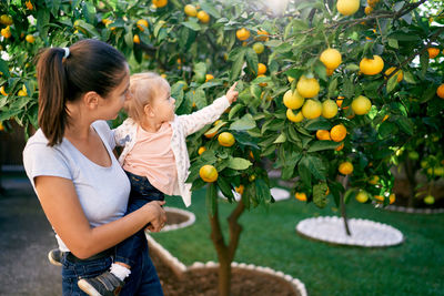 Side view of young woman picking tomatoes