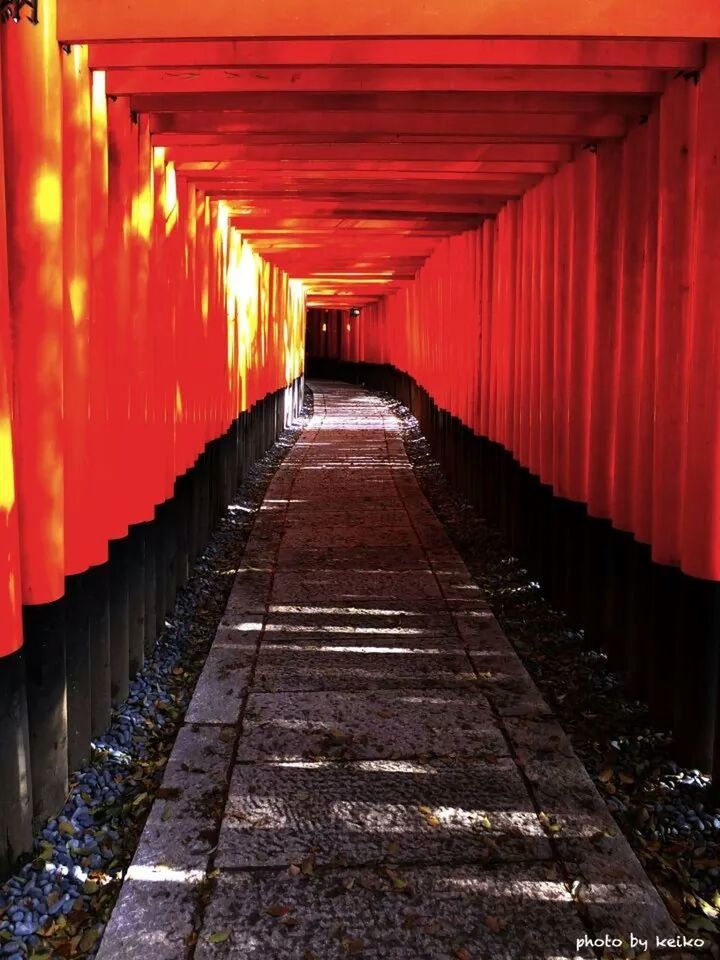 the way forward, built structure, architecture, diminishing perspective, in a row, red, vanishing point, orange color, walkway, building exterior, narrow, sunset, long, corridor, pathway, empty, no people, architectural column, footpath, outdoors