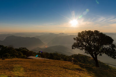 Scenic view of field against sky during sunset