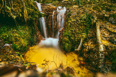 Scenic view of waterfall in forest