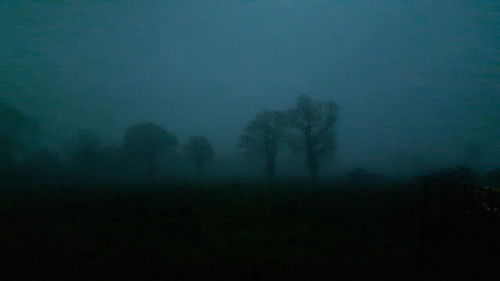 Silhouette trees against sky at night