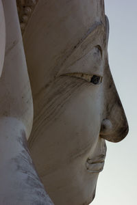 Close-up of buddha statue